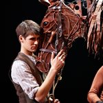 Boy cradles head of life-sized horse puppet