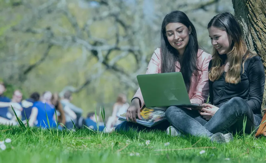 Students using a laptop on the lawn