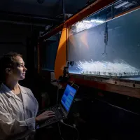 A researcher with a laptop measuring underwater flow in a water tank